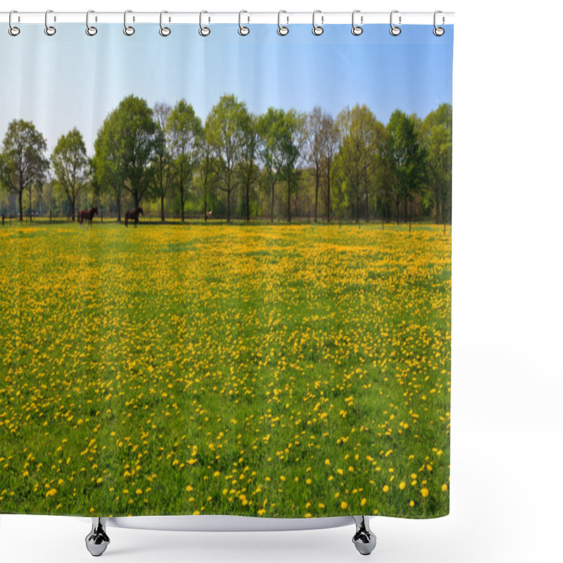 Personality  Dandelion Flower Field In Bloom Shower Curtains