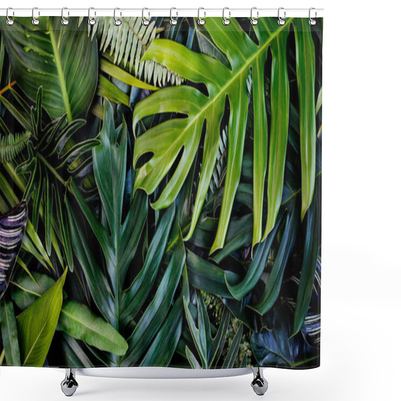 Personality  Creative Design Of Leaves, Tropical Leaf, Nature Background And Abstract Green Leaf Texture, Nature Concept. Shower Curtains