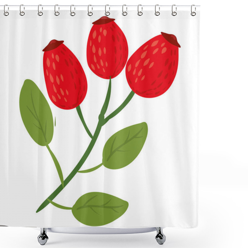 Personality  Rose Hip Twig With Leaves, Natural Healthy Organic Nutrition Product, Dogrose Or Wildrose. Vector Doodle Cartoon Flat Trendy Illustration Hand Drawn Isolated Shower Curtains