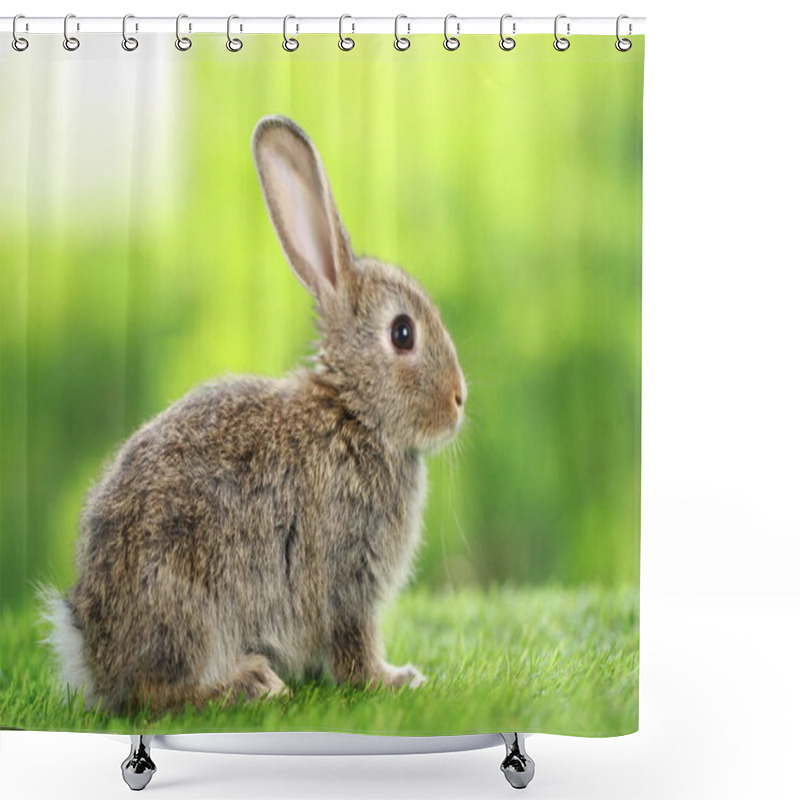 Personality  Cute Little Rabbit On Green Grass With Natural Bokeh As Background During Spring. Young Adorable Bunny Playing In Garden. Lovely Pet At Park In Spring. Shower Curtains