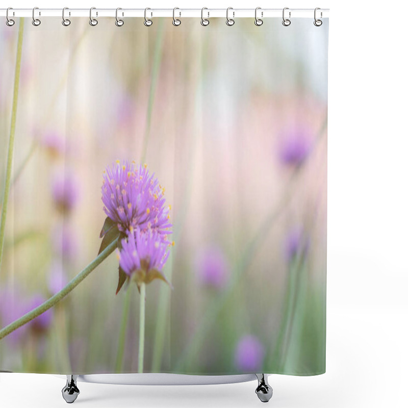 Personality  Purple Flower With Beautiful At Sunlight In The Winter. Shower Curtains