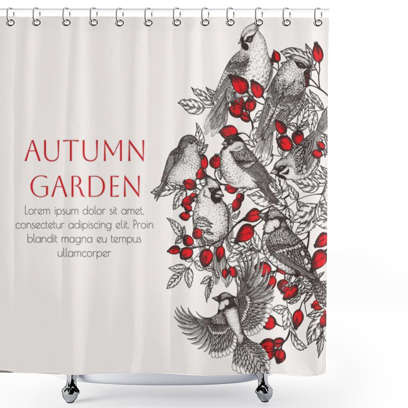 Personality   Vector Illustration Of A Bird On A Rose Hip Berry Bush. Waxwing, Robin, Bullfinch, Red Cardinal, Sparrow And Blue Jay In Engraving Style Shower Curtains