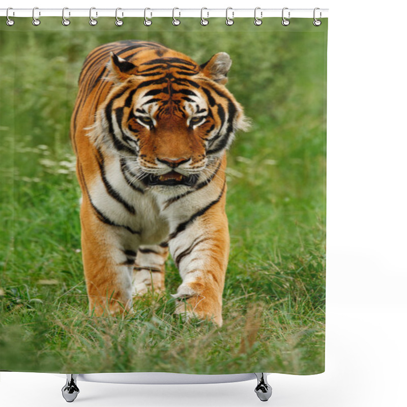 Personality  Amur Or Siberian Tiger Shower Curtains