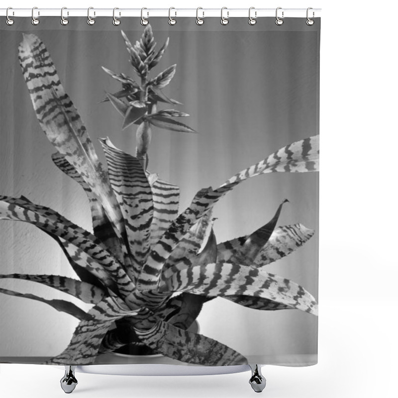 Personality  Flowers Close View, Natural Plants Black And White Photo Background Shower Curtains