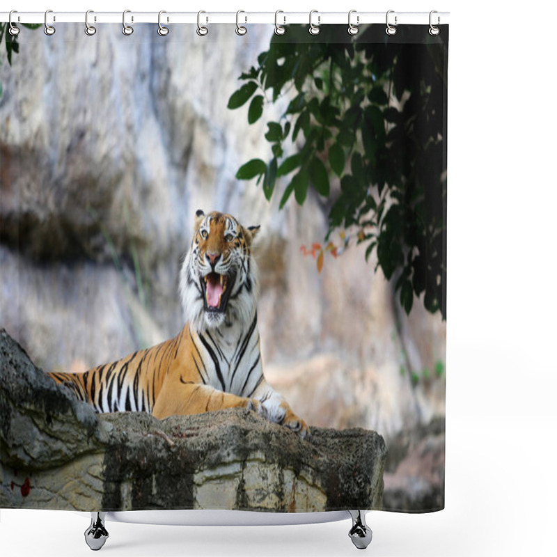 Personality  Bengal Tiger Action Shower Curtains