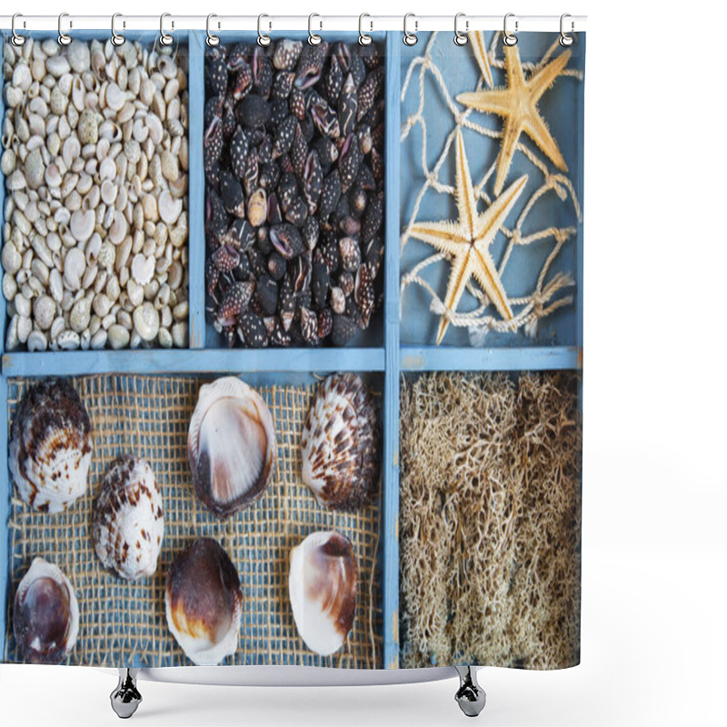 Personality  Set Of Sea Shells Collection On A Blue Close-up Background Shower Curtains