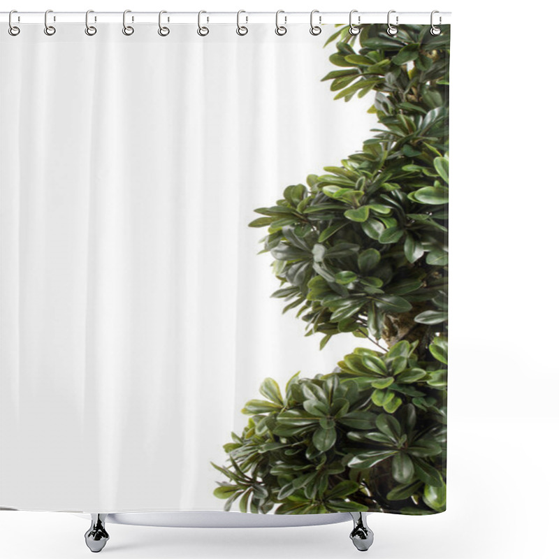 Personality  Green Decorative Bush Border Shower Curtains