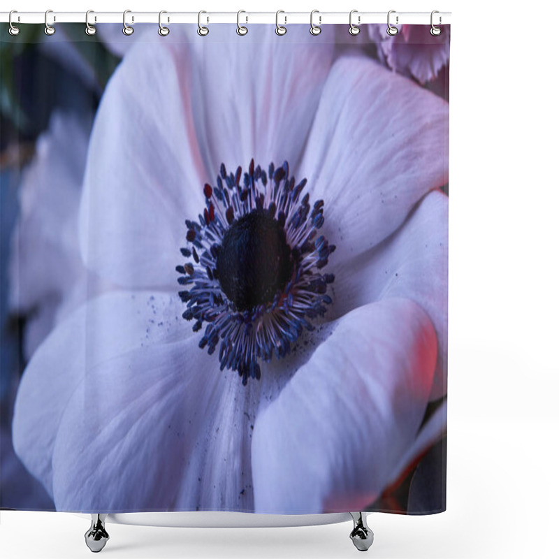 Personality  Close Up Of White Anemone Flower With Stamens Shower Curtains