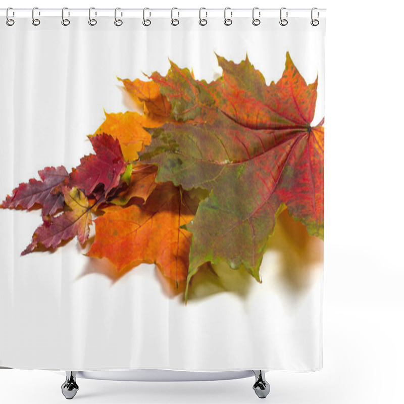 Personality  Texture, Background. Autumn Leaves.  Shower Curtains