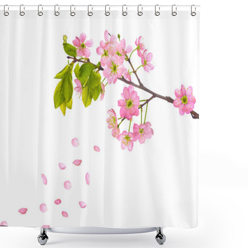 Personality  Pink Cherry Flowers And Falling Petals Shower Curtains