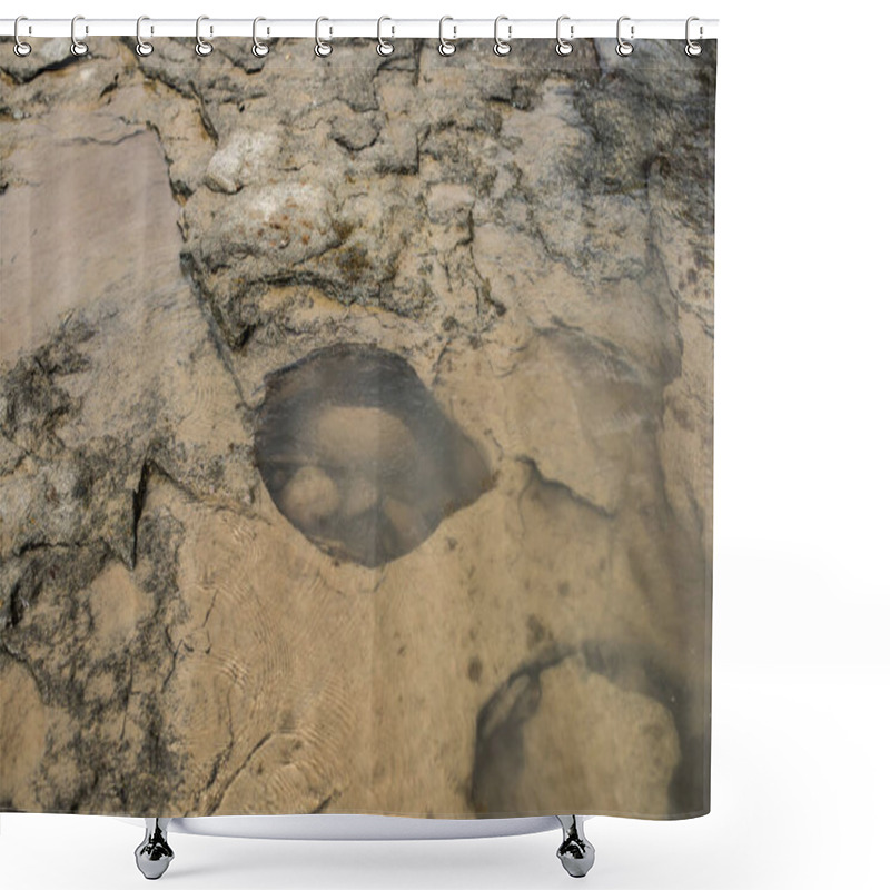 Personality  Coastal Stone Surface With Holes At Low Tide. Shower Curtains