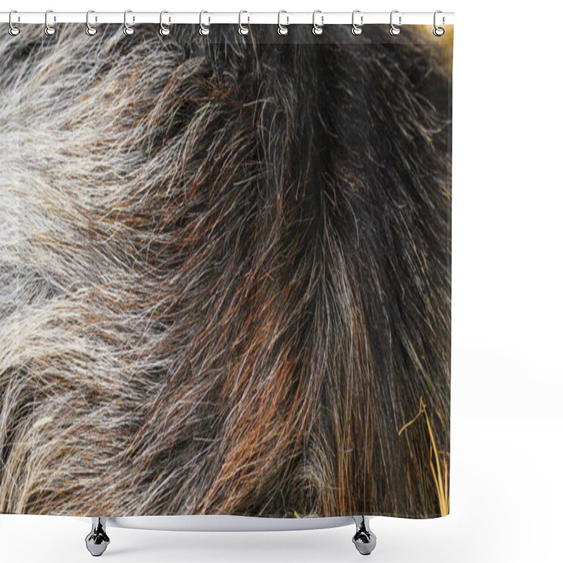 Personality  Background And Texture Of Animal Fur. Extreme Close-up Of Goat's Fur. A Fluffy, Soft Warm Coat Protects This Farm Animal From The Cold. Beautiful Shades Of Grey, Brown, White And Cream Shower Curtains