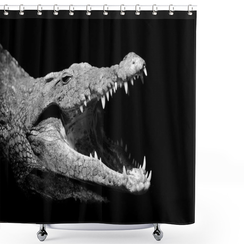 Personality  Crocodile On Dark Background Shower Curtains