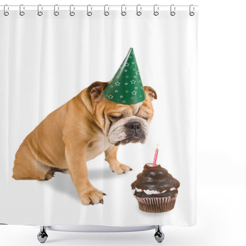 Personality  Bulldog With Party Hat Shower Curtains