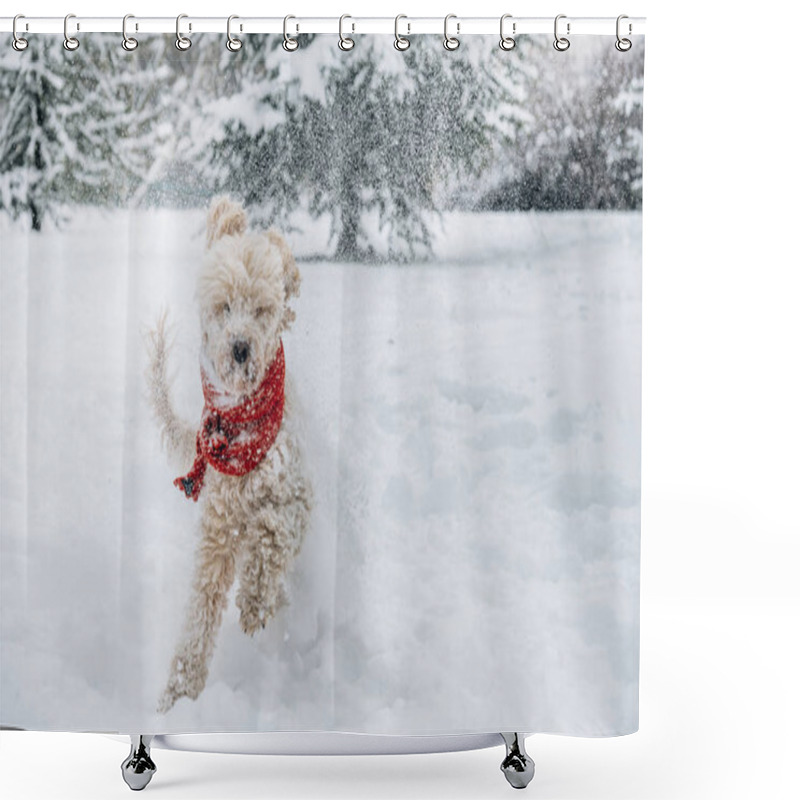 Personality  Cute And Funny Little Dog With Red Scarf Playing And Jumping In The Snow. Happy Puddle Having Fun With Snowflakes. Outdoor Winter Happiness. Shower Curtains