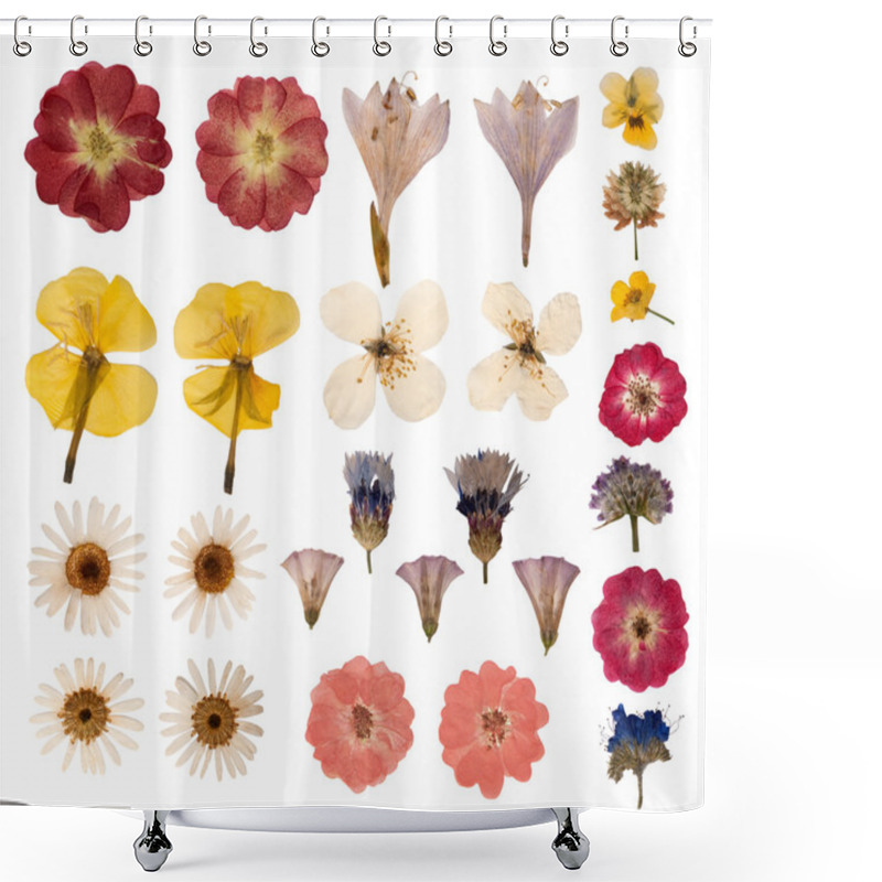 Personality  Pressed Flowers Isolated On White Background Shower Curtains