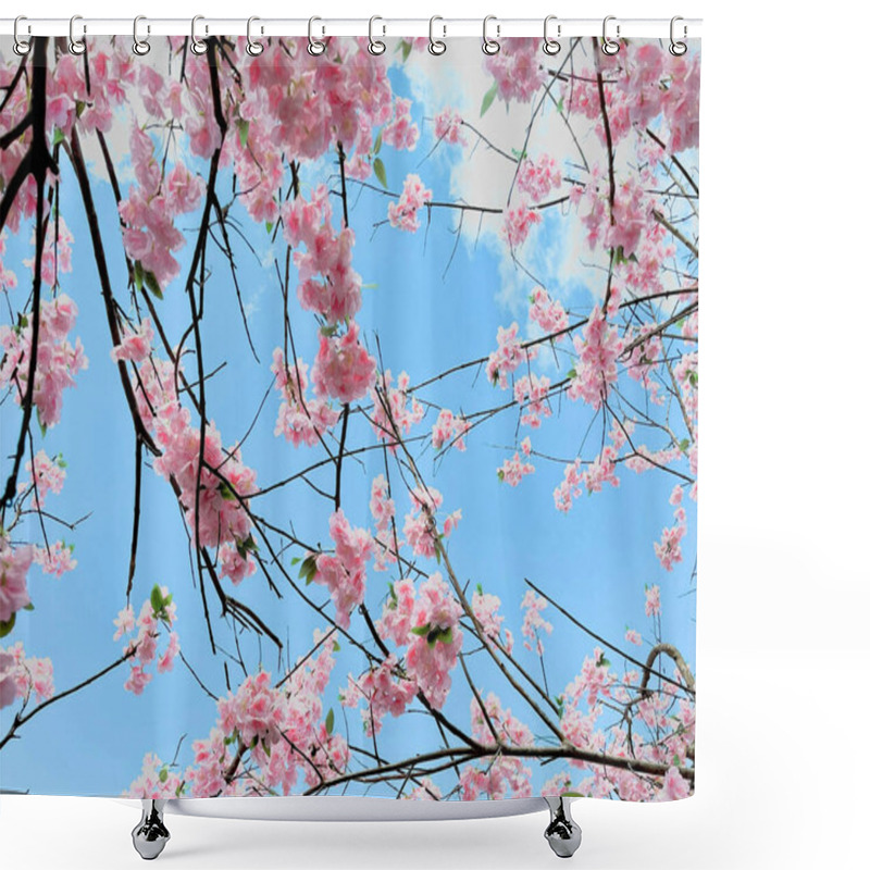 Personality  Blossoming Cherry Tree Branches Against A Bright Blue Sky. Shower Curtains