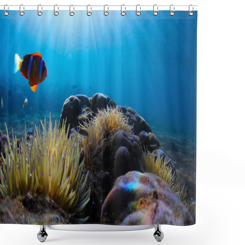 Personality  Fish Shower Curtains