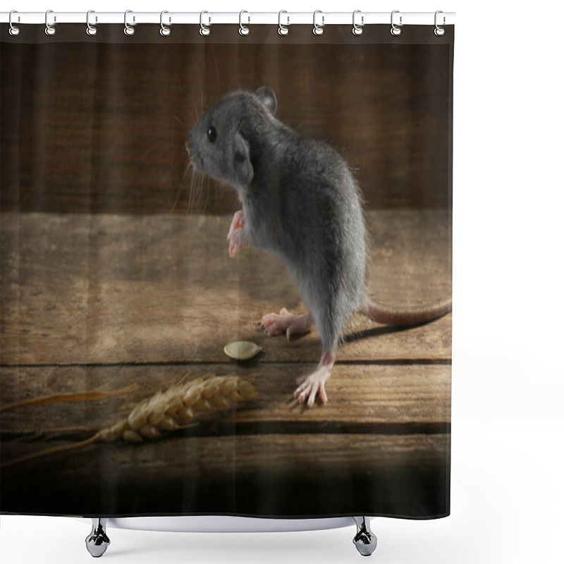 Personality  Cute Little Rat Shower Curtains