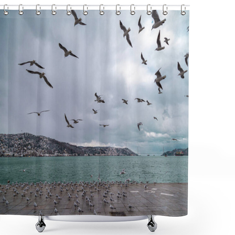 Personality  Group Of Wild Seagulls, Which Flying Against Blue Sky. Panoramic View Of Famous Tourist Place Tarabya With Seagulls On The Front, Istanbul, Turkey Shower Curtains