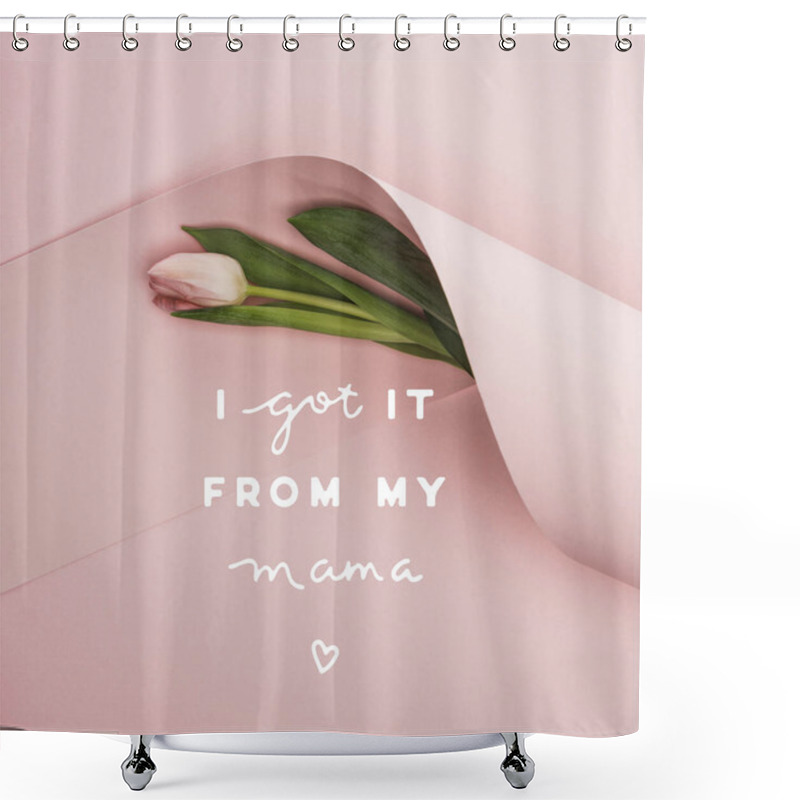 Personality  Top View Of Spring Tulip Wrapped In Paper Swirl On Pink Background, I Got It From My Mama Illustration Shower Curtains