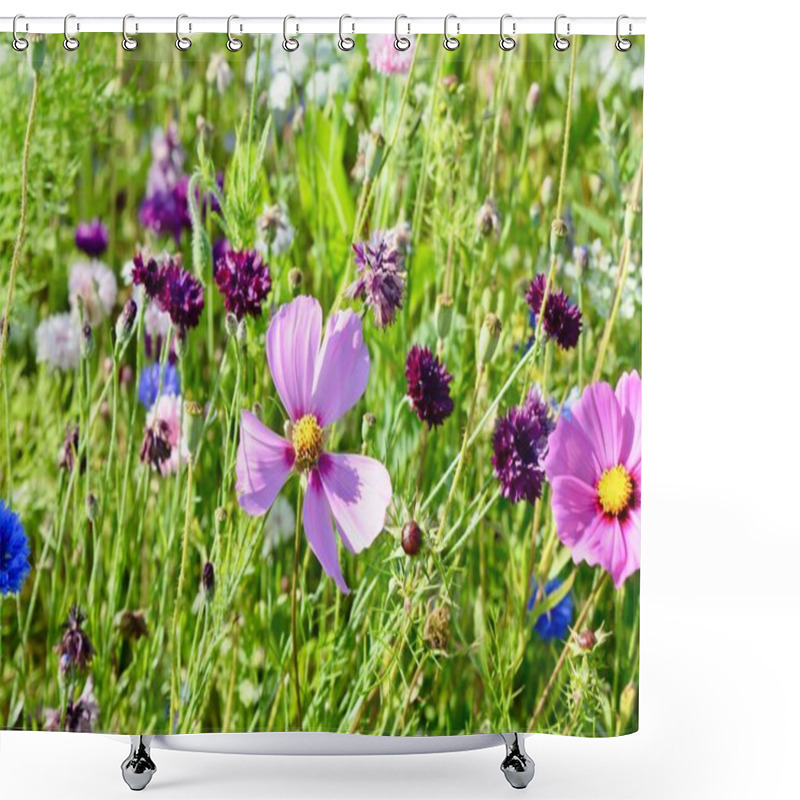 Personality  Nature Background, Wildflowers, Wildflower Meadow. Mix Of Multicoloured Wild Flowers Found In A Field In The British Countryside. Varieties Of Poppy, Cornflower, Meadowsweet, Cow Parsley And Marigold Shower Curtains