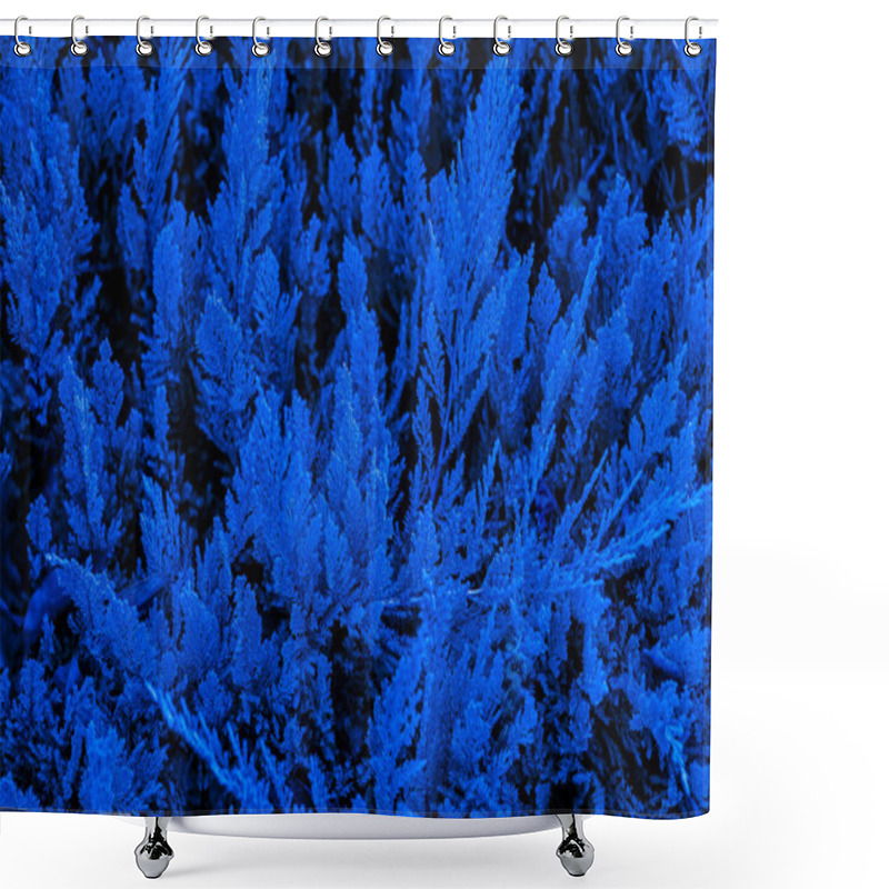 Personality  Dense Textured Branches Of Blue Chip Juniper In A Rich Sapphire-toned Palette. Shower Curtains