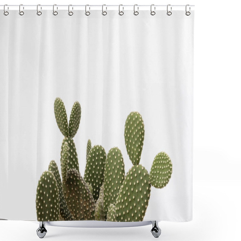 Personality  Minimalistic Close-Up Of Opuntia Microdasys Cactus On White Background With Copy Space Shower Curtains