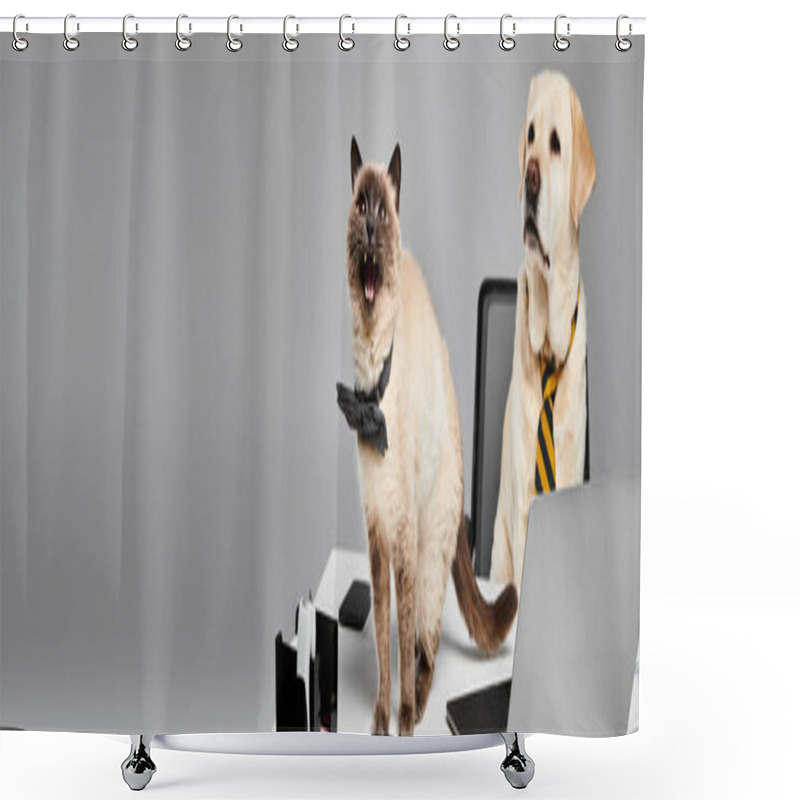 Personality  A Cat And A Dog Are Seated On A Laptop In A Studio Setting, Showcasing The Bond Between Domestic Animals. Shower Curtains