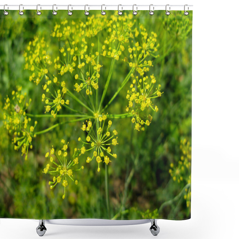 Personality  Dill On The Ground Shower Curtains