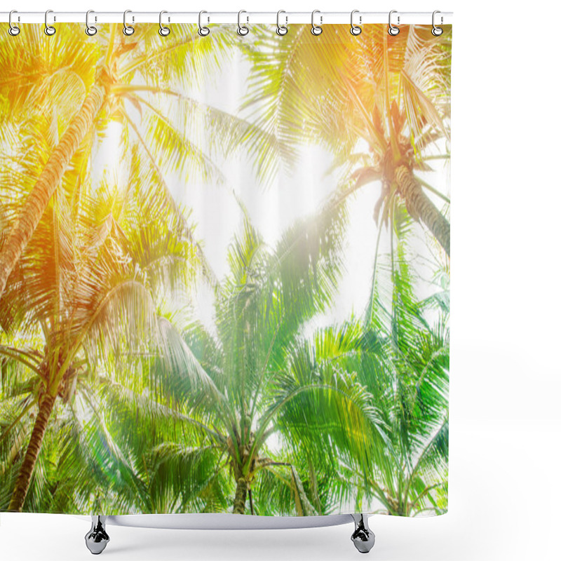 Personality  Coconut Leaves Shower Curtains