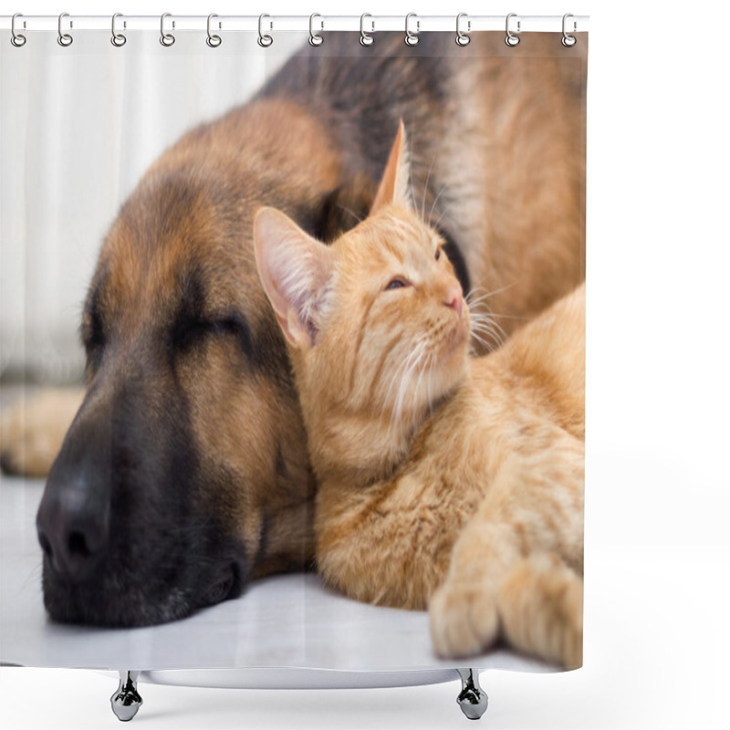 Personality  Cat And Dog Sleeping Together Shower Curtains