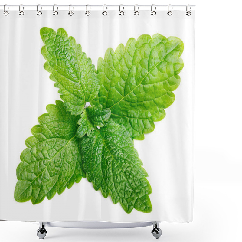 Personality  Fresh Raw Mint Or Green Lemon Balm Leaves (Melissa Officinalis) On White Shower Curtains