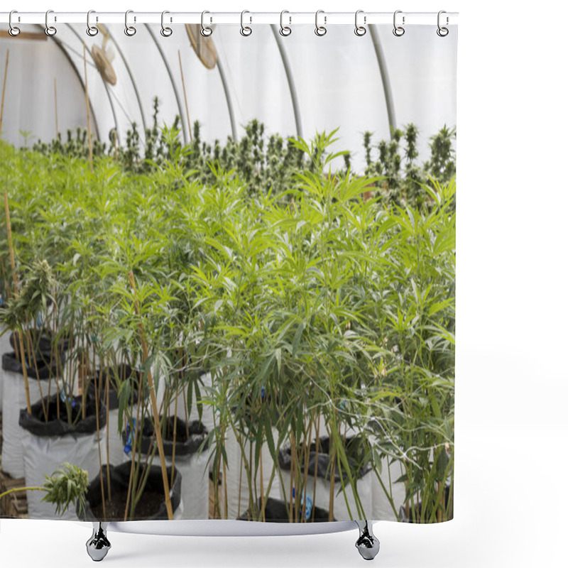 Personality  Legal Marijuana Grow Facility In Oregon Shower Curtains