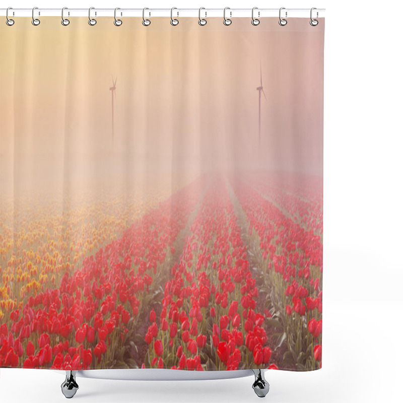 Personality  Sunrise And Fog Over Rows Of Blooming Tulips, The Netherlands Shower Curtains