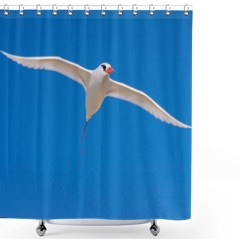 Personality  Red-billed Tropicbird Shower Curtains