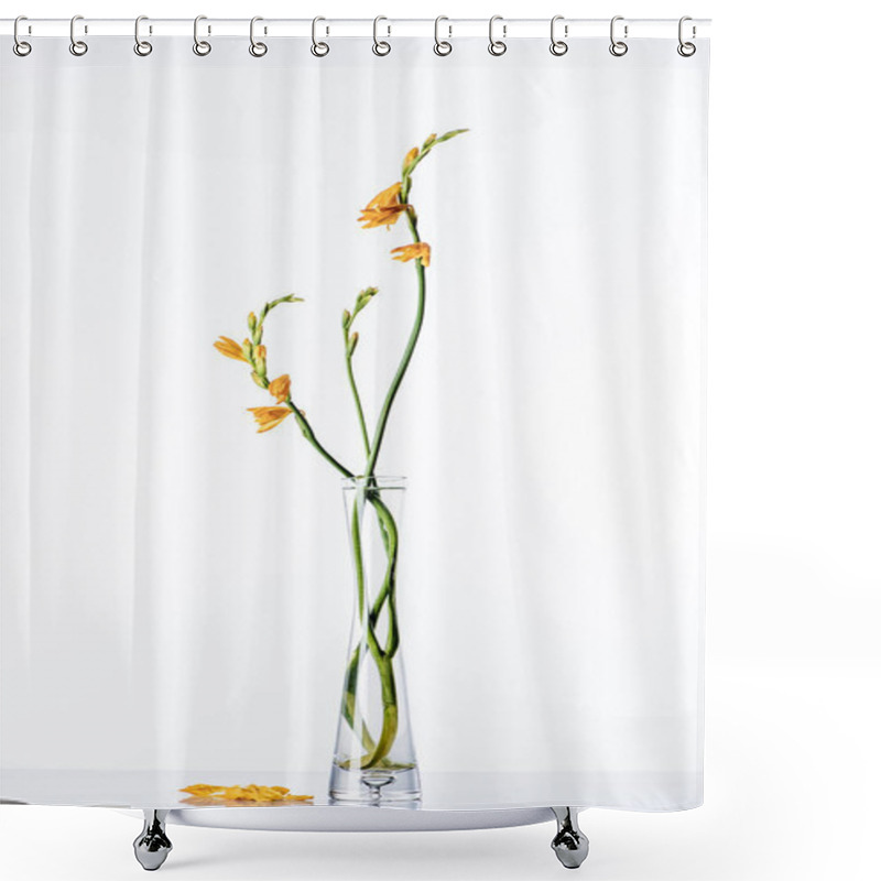 Personality  Beautiful Orange Lilies On Green Stems In Transparent Vase And Petals On White Surface  Shower Curtains