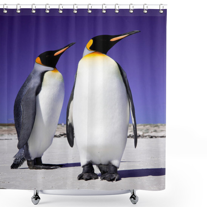 Personality  King Penguins At Volunteer Point On The Falkland Islands Shower Curtains