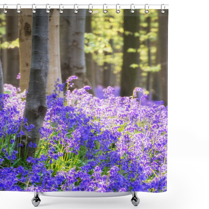 Personality  Stunning Bluebell Flowers In Spring Forest Landscape Shower Curtains