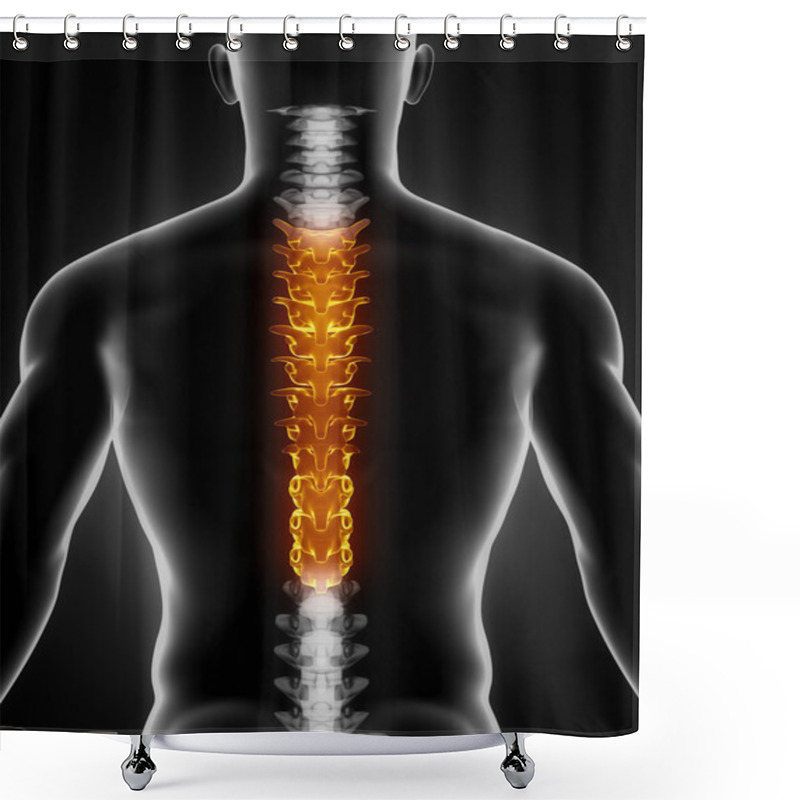 Personality  Thoracic Spine Anatomy Posterior View Shower Curtains