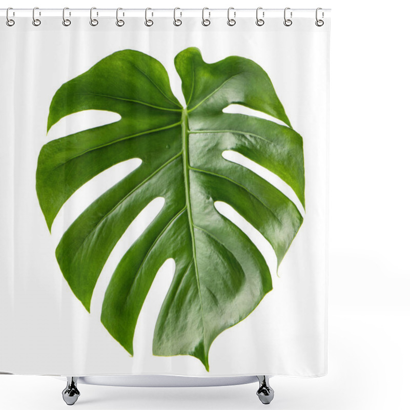 Personality  Green Leaf Exotic Plant Monstera Isolated White Background Shower Curtains