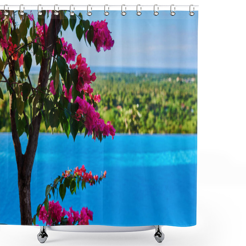 Personality  Colorful Flowers In Nature. Bougainvillea Trees Blooming Near Swiming Pool. Pink And Purpure Flowers With Green Foliage In Background. Summer Blooming Bright Flowers. Vacation Concept. Shower Curtains