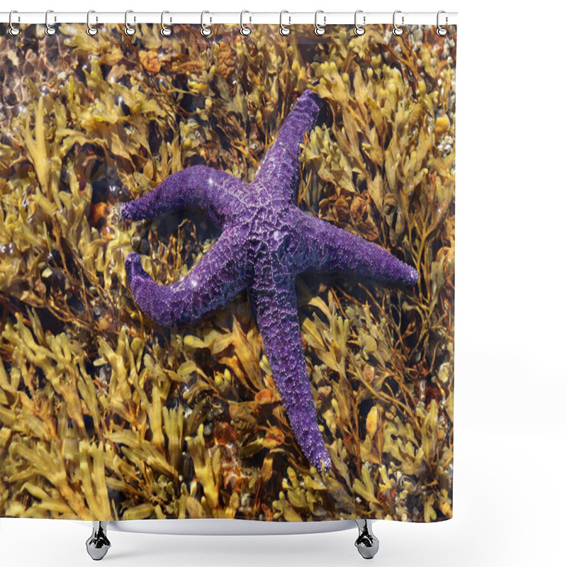 Personality  Mauve Star Fish In Seaweed In The Pacific Ocean In Nanoose On Vancouver Island Shower Curtains