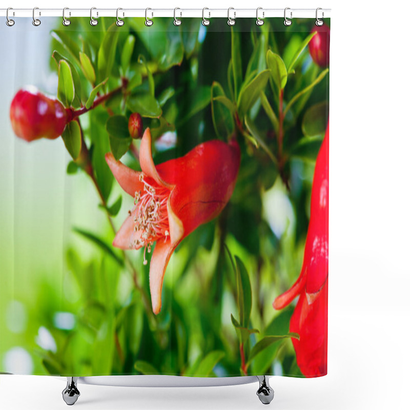 Personality  Pomegranate Blossom On Grenn Branches Shower Curtains