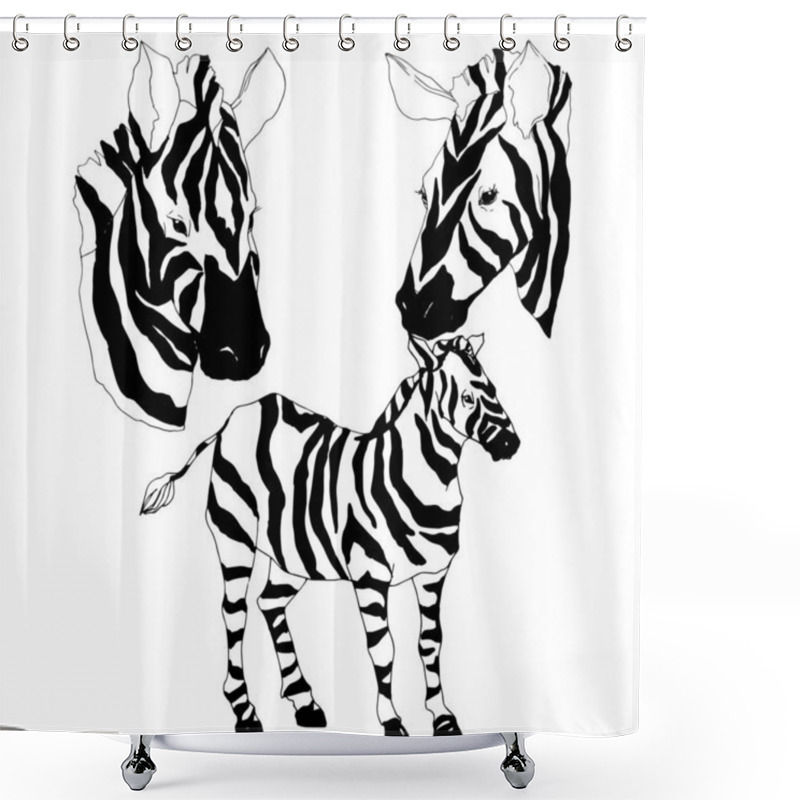 Personality  Vector Exotic Zebra Wild Animal Isolated. Black And White Engraved Ink Art. Isolated Animal Illustration Element. Shower Curtains