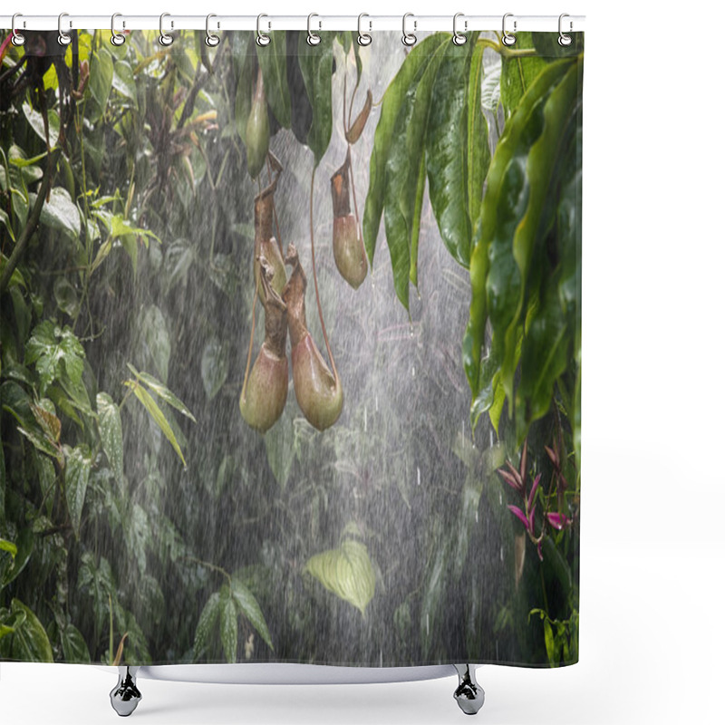 Personality  Tropical Rain Forest Background Shower Curtains