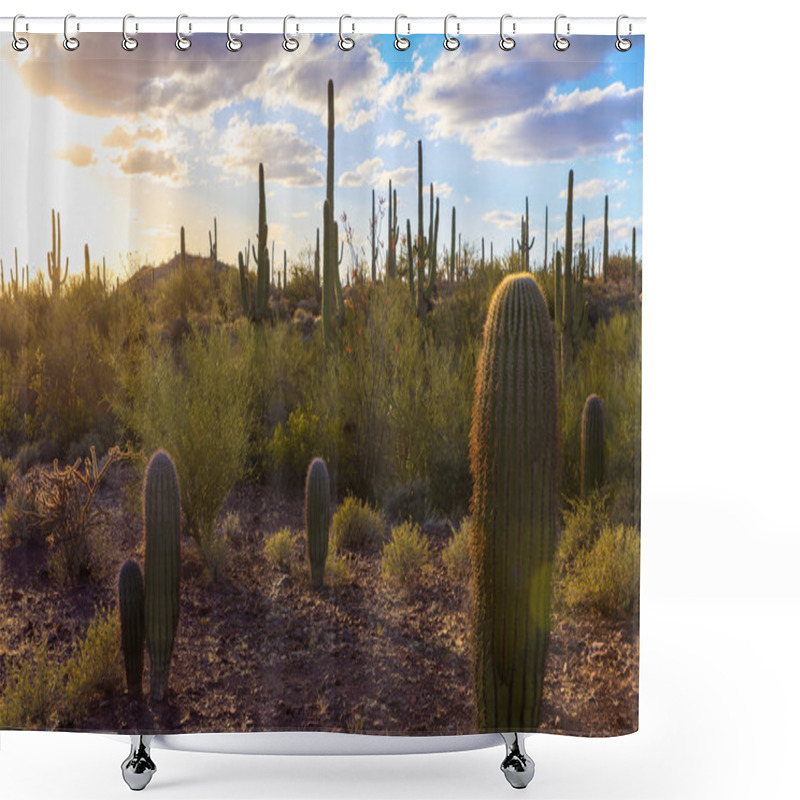 Personality  Saguaro National Park Shower Curtains