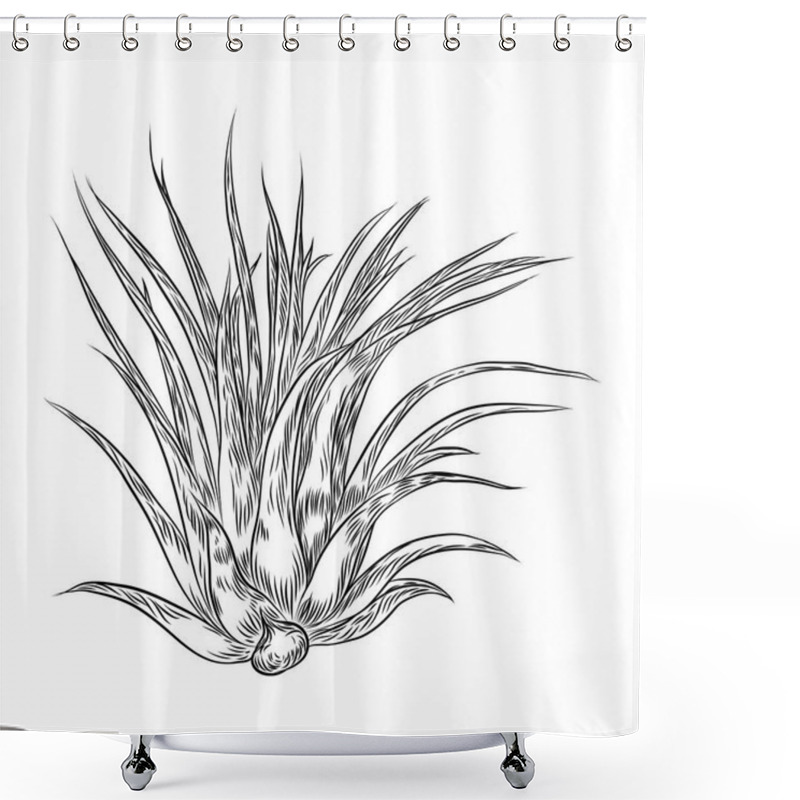 Personality  Air Plant Tillandsias Cactus For Fashion Design. Cacti Mood Sketchy Hand Drawn Style Illustration. Succulent Terrarium Element. Wild Floral Exotic Tropical Flower. Vector. Shower Curtains