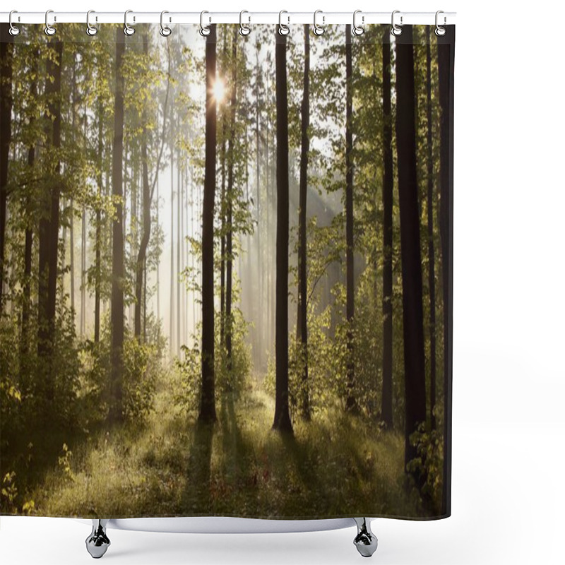 Personality  Sunrise In The Forest Shower Curtains