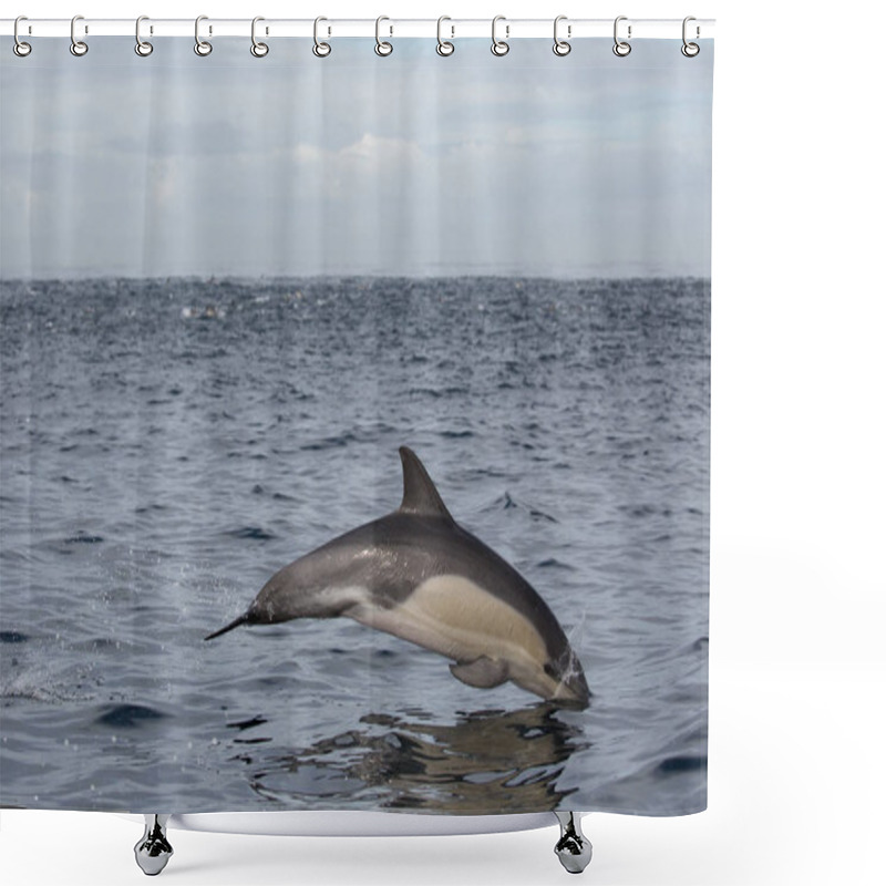 Personality   Dolphin Jumping Out Of Water. Nature Shower Curtains